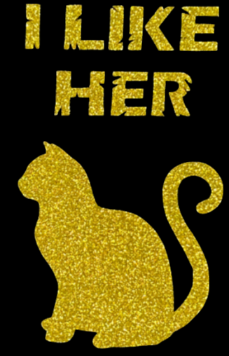 I Like Her/His