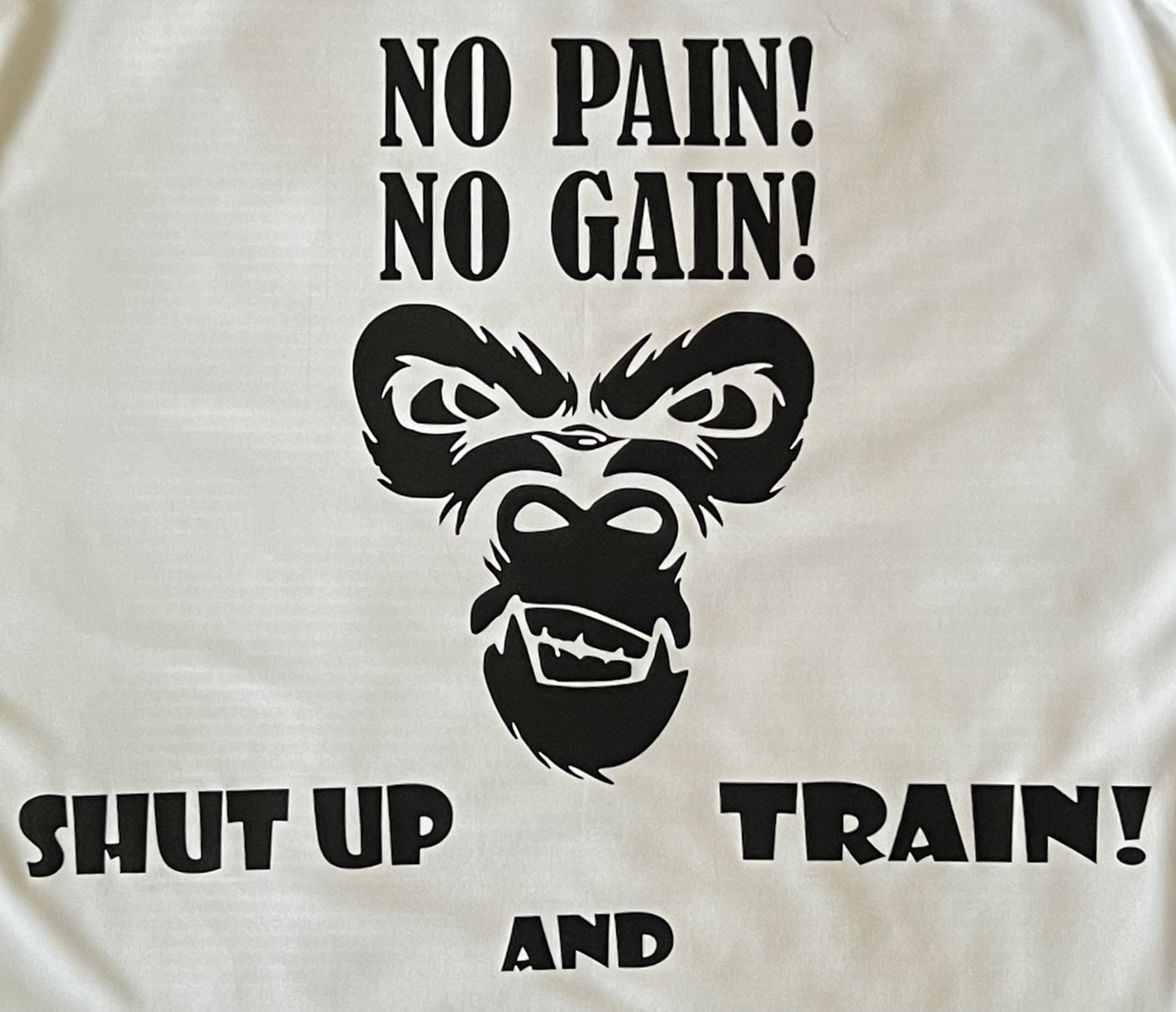 No Pain No Gain